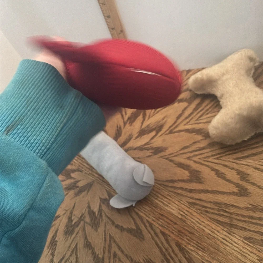 Unbranded Dog Toys Lot‎ 3 Toys